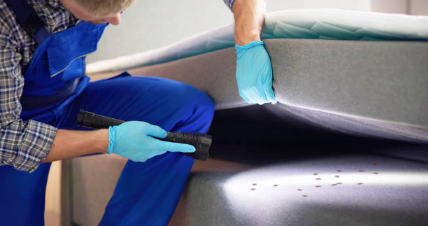 Best Cockroach Control Services  in Philmont, NY