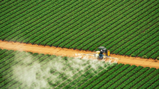 Best Mosquito Control Services  in Philmont, NY