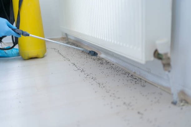 Best Termite Control Services  in Philmont, NY